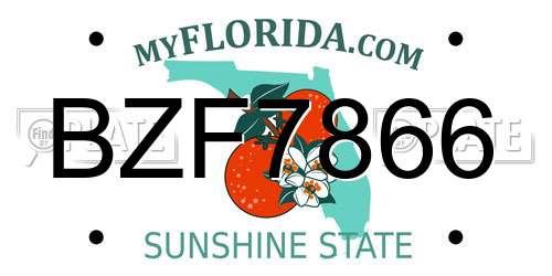 BZF7866 Florida License Plate