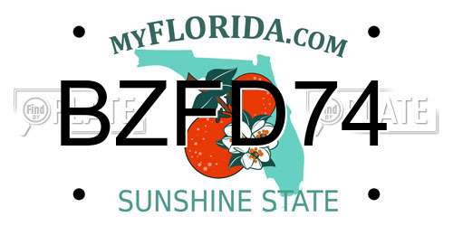 BZFD74 Florida License Plate