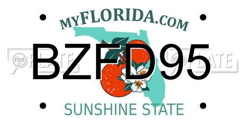 BZFD95 Florida License Plate