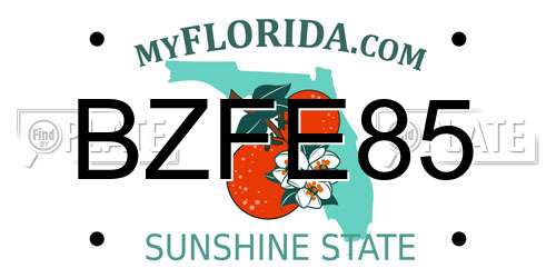 BZFE85 Florida License Plate