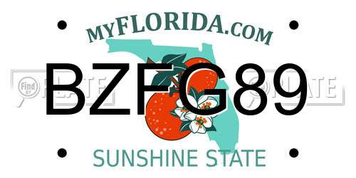 BZFG89 Florida License Plate