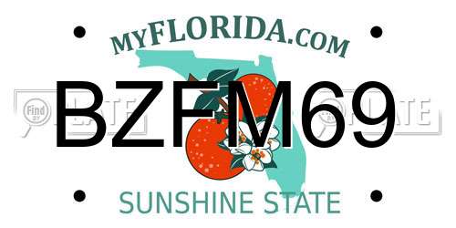 BZFM69 Florida License Plate