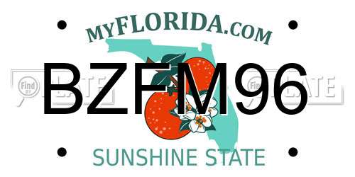 BZFM96 Florida License Plate