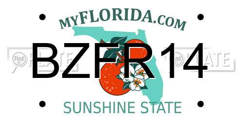 BZFR14 Florida License Plate