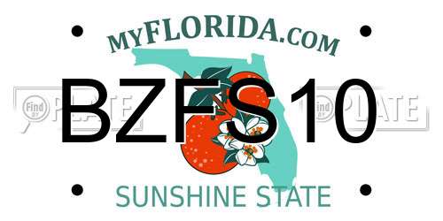 BZFS10 Florida License Plate