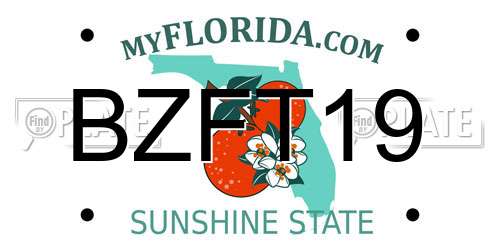 BZFT19 Florida License Plate