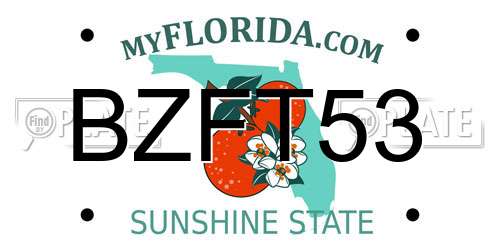 BZFT53 Florida License Plate