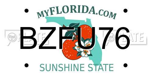 BZFU76 Florida License Plate