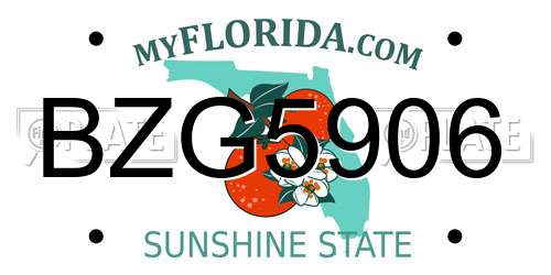 BZG5906 Florida License Plate