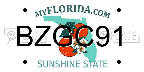 BZGC91 Florida License Plate