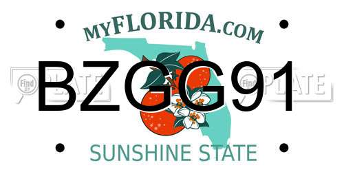 BZGG91 Florida License Plate