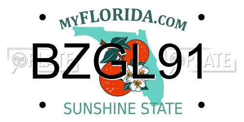 BZGL91 Florida License Plate