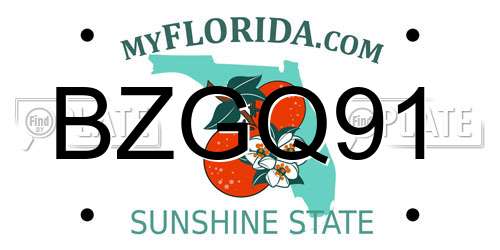 BZGQ91 Florida License Plate