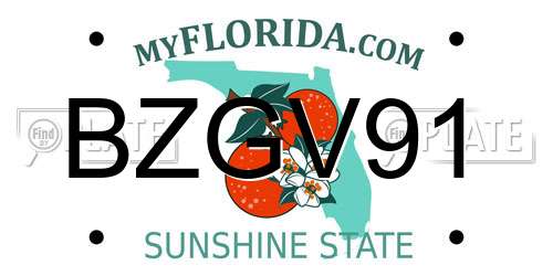 BZGV91 Florida License Plate