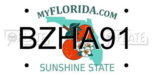 BZHA91 Florida License Plate