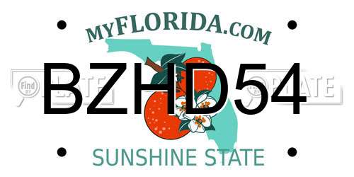 BZHD54 Florida License Plate