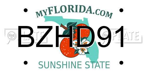 BZHD91 Florida License Plate