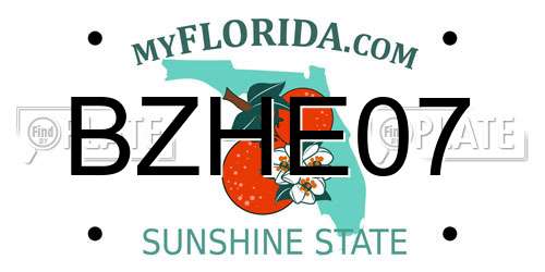 BZHE07 Florida License Plate