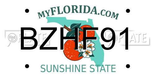 BZHF91 Florida License Plate