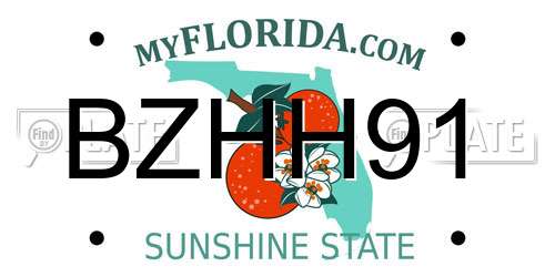 BZHH91 Florida License Plate