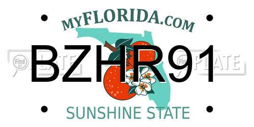 BZHR91 Florida License Plate