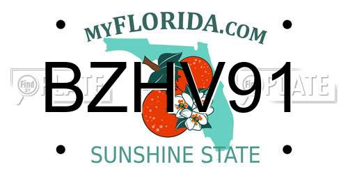 BZHV91 Florida License Plate