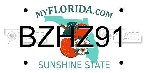 BZHZ91 Florida License Plate