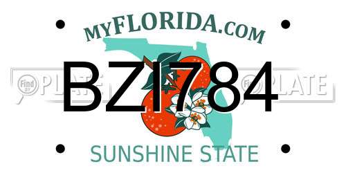 BZI784 Florida License Plate