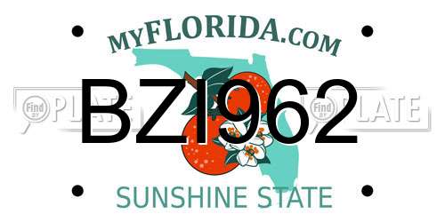 BZI962 Florida License Plate