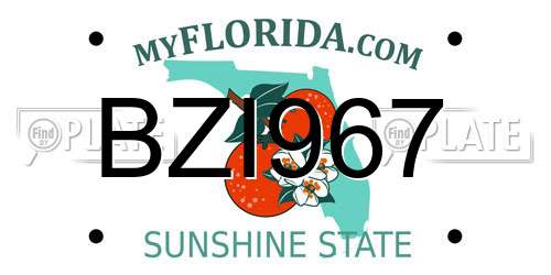 BZI967 Florida License Plate