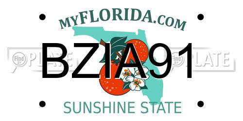 BZIA91 Florida License Plate