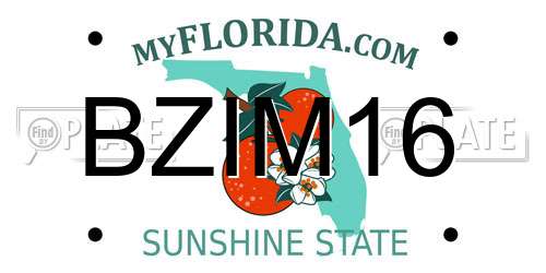 BZIM16 Florida License Plate
