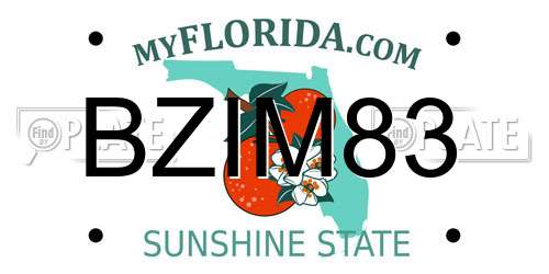 BZIM83 Florida License Plate