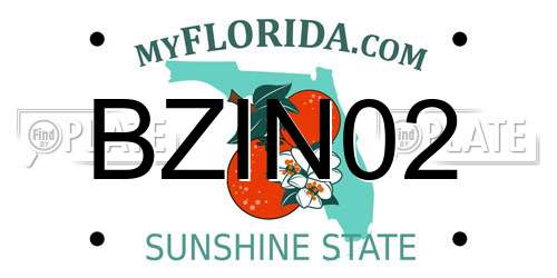 BZIN02 Florida License Plate