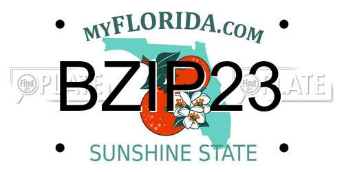 BZIP23 Florida License Plate