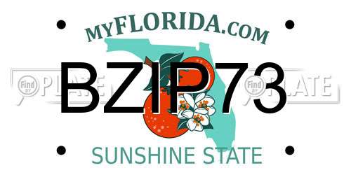 BZIP73 Florida License Plate