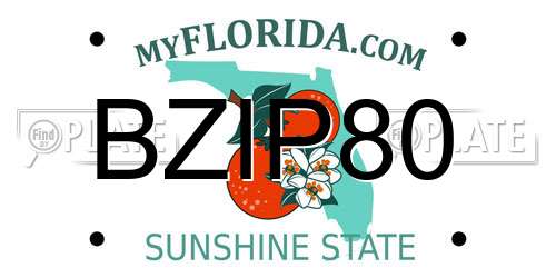 BZIP80 Florida License Plate