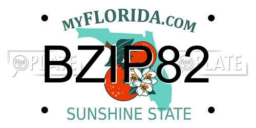 BZIP82 Florida License Plate