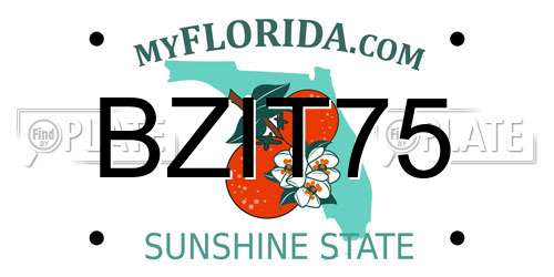 BZIT75 Florida License Plate