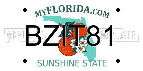 BZIT81 Florida License Plate