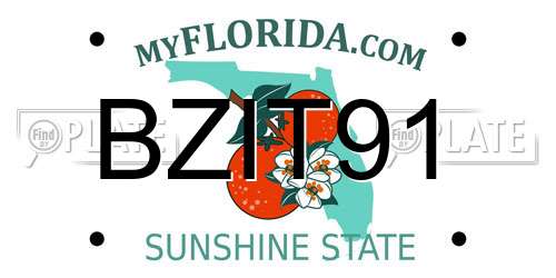 BZIT91 Florida License Plate