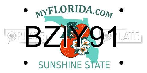 BZIY91 Florida License Plate