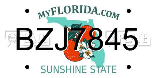 BZJ7845 Florida License Plate