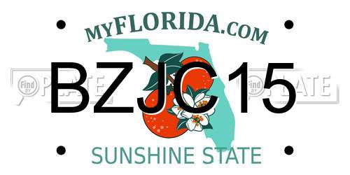 BZJC15 Florida License Plate