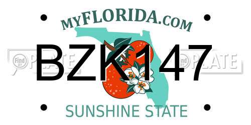 BZK147 Florida License Plate
