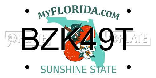 BZK49T Florida License Plate