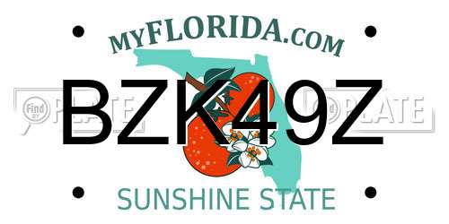 BZK49Z Florida License Plate