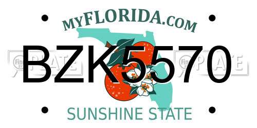 BZK5570 Florida License Plate