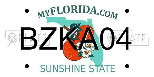 BZKA04 Florida License Plate