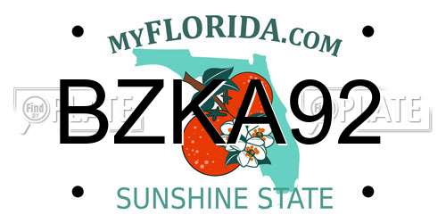 BZKA92 Florida License Plate